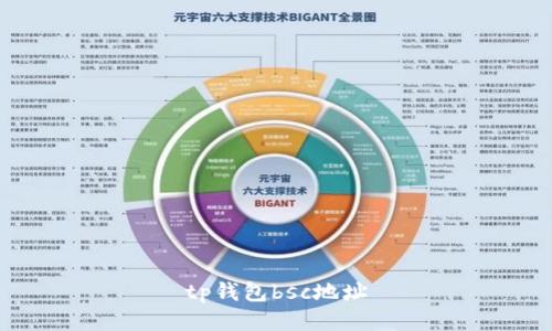 TP钱包BSC地址查询及使用指南