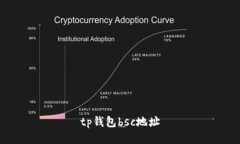 TP钱包BSC地址查询及使用指南