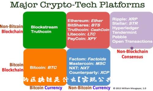 政务上的区块链是什么？实现公共服务的提升！