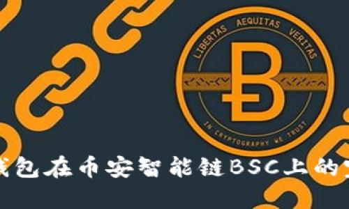 使用TP钱包在币安智能链BSC上的完全指南