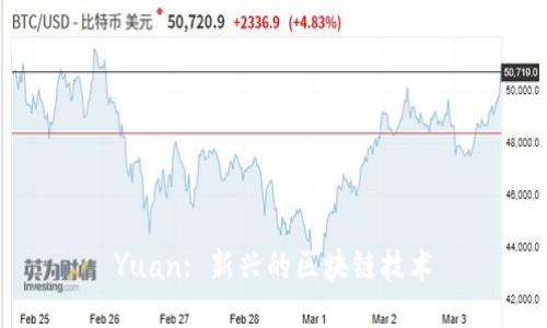 Yuan: 新兴的区块链技术