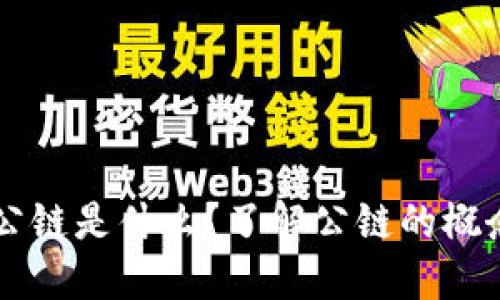 区块链中的公链是什么？了解公链的概念和运作方式