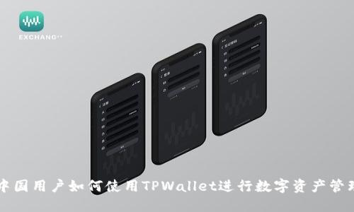 中国用户如何使用TPWallet进行数字资产管理