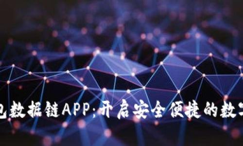 深圳数字钱包数据链APP：开启安全便捷的数字支付新时代