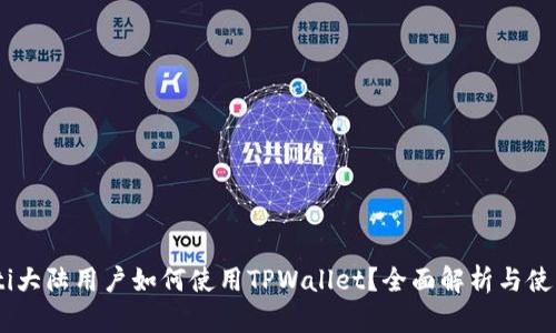 biasoti大陆用户如何使用TPWallet？全面解析与使用技巧