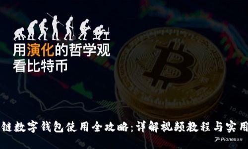 区块链数字钱包使用全攻略：详解视频教程与实用技巧