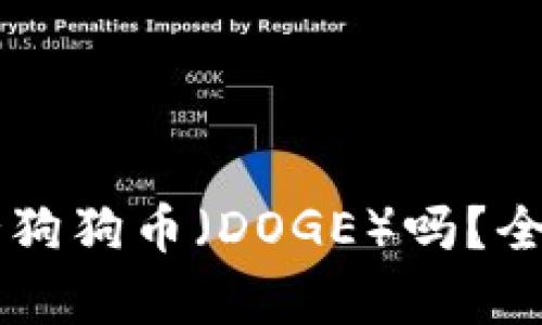 TPWallet支持狗狗币（DOGE）吗？全面解析和指南