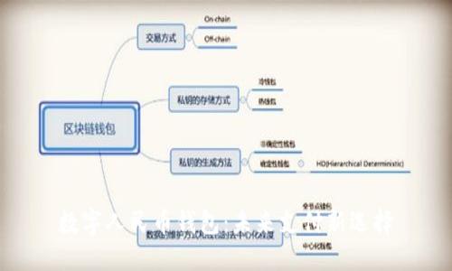 数字人民币钱包：未来支付新选择