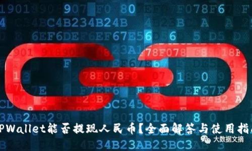 TPWallet能否提现人民币？全面解答与使用指南