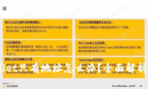 ## TPWallet只有地址怎么办？全面解析及解决方案