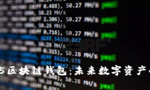 全面解析H5区块链钱包：未来数字资产的安全之选