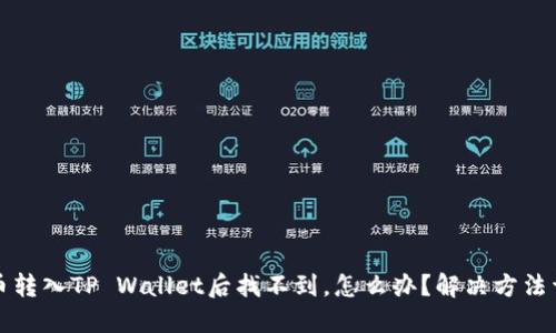 猪币转入TP Wallet后找不到，怎么办？解决方法详解