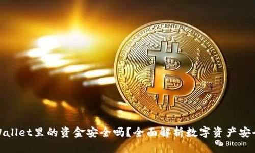 TPWallet里的资金安全吗？全面解析数字资产安全性