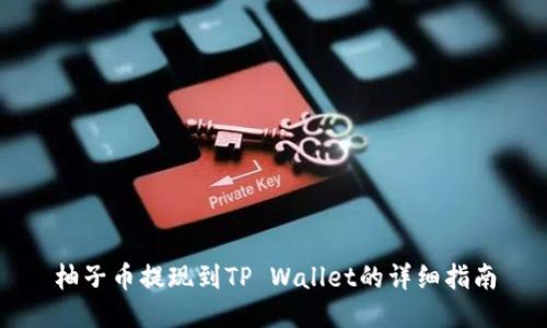 柚子币提现到TP Wallet的详细指南