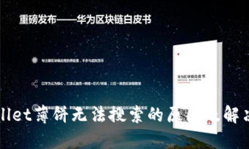 TPWallet薄饼无法搜索的原因及解决方案