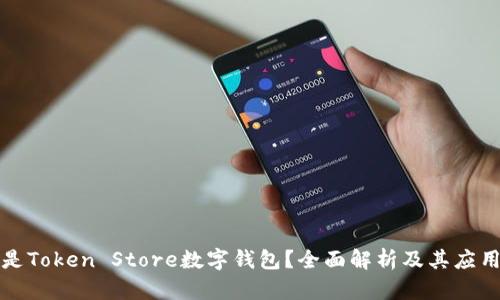 什么是Token Store数字钱包？全面解析及其应用前景