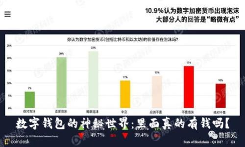 数字钱包的神秘世界：里面真的有钱吗？