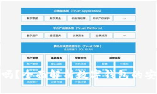 tp数字钱包安全吗？全面解析数字钱包的安全性及使用技巧